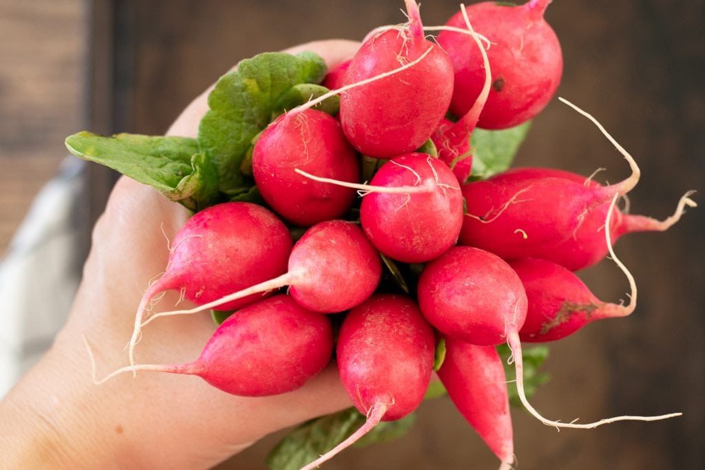 Bundle of fresh radishes